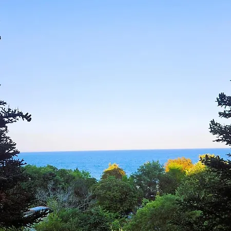 Exclusive Sea View Free Wifi & Pool Апартаменти *